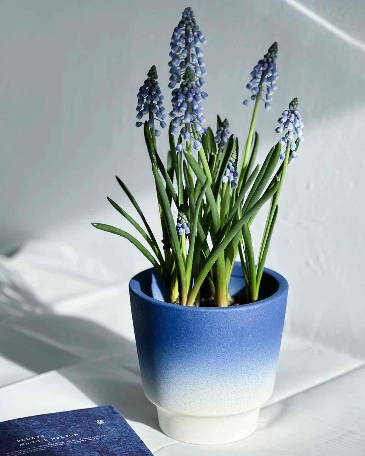 Handmade Macaron Flower Pots, Dopamine Indoor / Outdoor Garden Planter