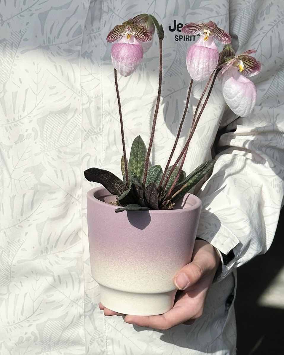 Handmade Macaron Flower Pots, Dopamine Indoor / Outdoor Garden Planter