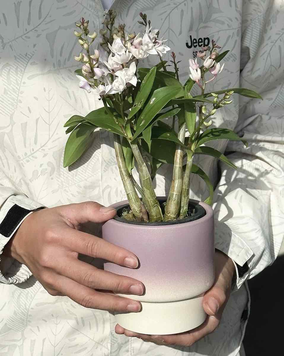 Handmade Macaron Flower Pots, Dopamine Indoor / Outdoor Garden Planter