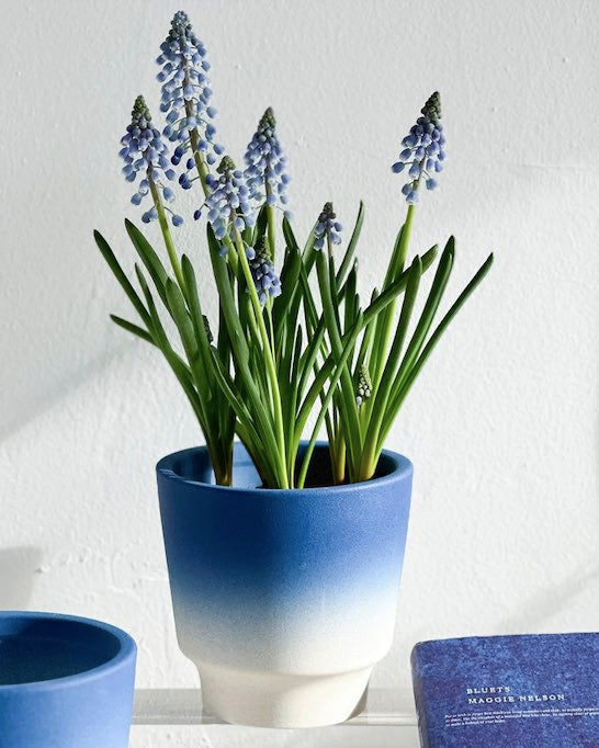 Handmade Macaron Flower Pots, Dopamine Indoor / Outdoor Garden Planter